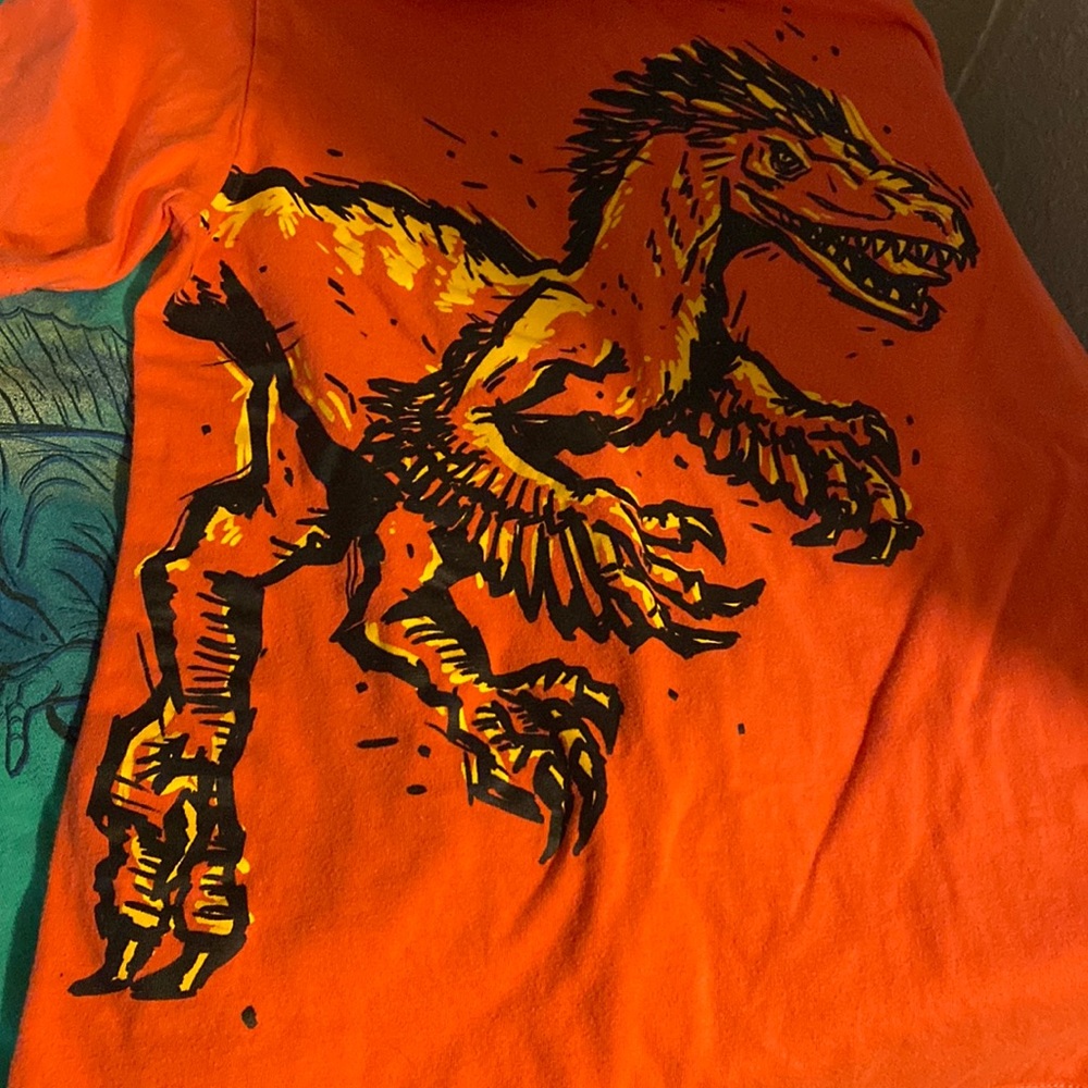 Dinosaur lot shirt 5T children place